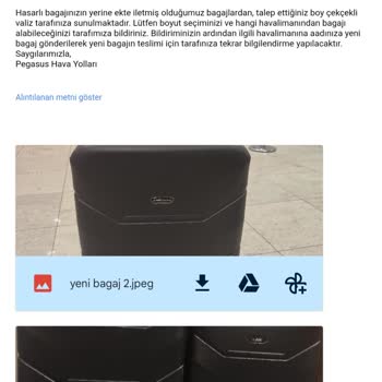 Pegasus'un Valiz Almamak İçin Çabası