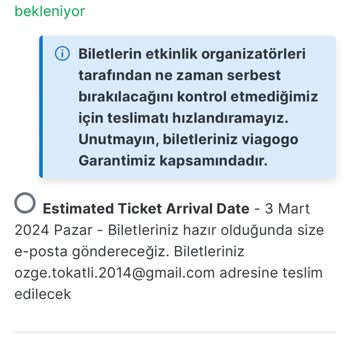 Viagogo BJK GS Maç Bileti