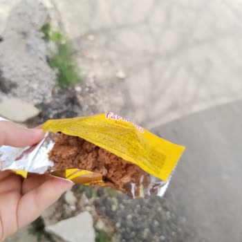 Torku Kakaolu Kek Sürprizi: Beklenmedik Misafir!