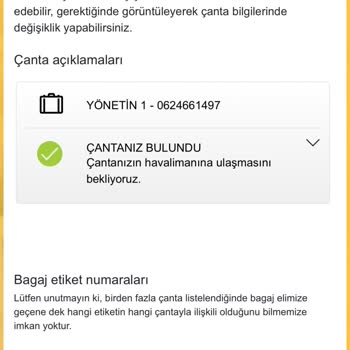 Pegasus Ve Kayıp Bagaj Macera1