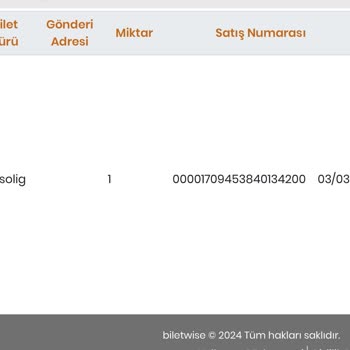 Biletwise Bilet Yüklemiyor Aldığım Bilet Yok