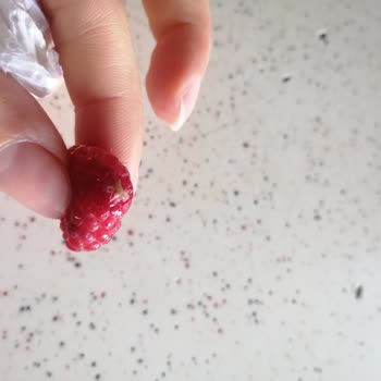 Lavi Juice Lavi Ürününde Kurt Çıktı