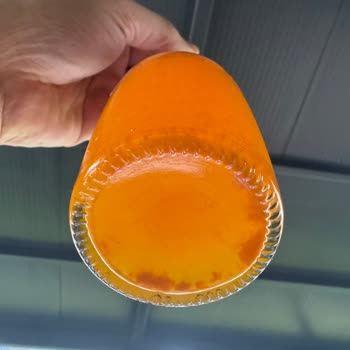 Schweppes Mandalina İçinde Anlaşılmayan Parçacıklar