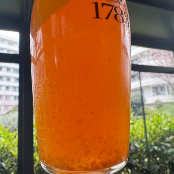 Schweppes Mandalina İçinde Anlaşılmayan Parçacıklar