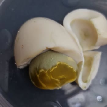 Trendyol Yemek Alibeyköy Köfteci Yusuf Bozuk Kahvaltılık