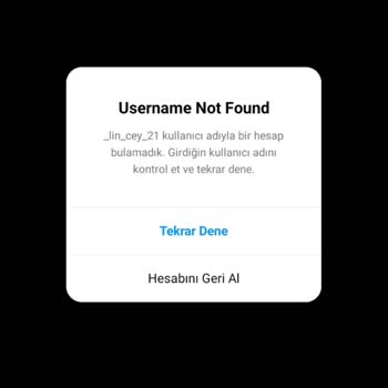 Instagram Silinen Hesabımın Geri Getirmesini İstiyorum