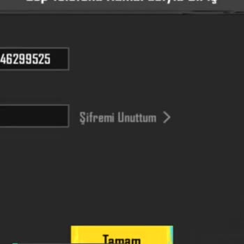 PUBG (Pubgmobile.com) Giriş Yaparken Hata Kodu 211-541 Çıkıyor!