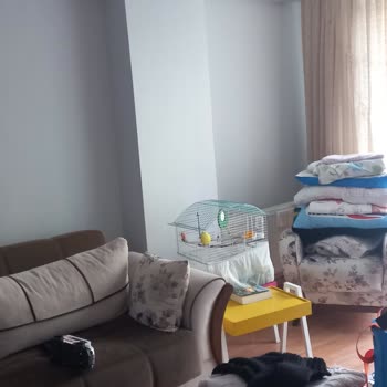 Marshall Boya Boya Rengi Ve Koku Hayal Kırıklığı