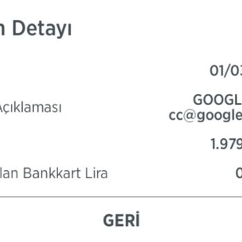 Google Ads İzinsiz Harcama