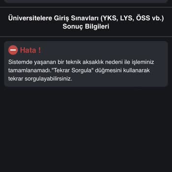 E-Devlet (Turkiye.gov.tr) Ulusal Staj Programı Başvurusu Yapamıyorum!