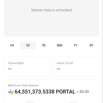 Pancakeswap Portal Coin Yanılgısı Ve Binance Denetim Sorunu