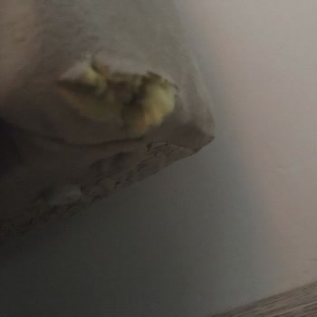 Bellona Mağduriyeti Müşteri Memnuniyeti Sağlanmıyor.