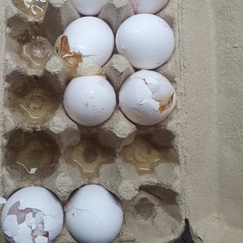 Burhaniye Şok Marketler Eve Teslim Sorunu