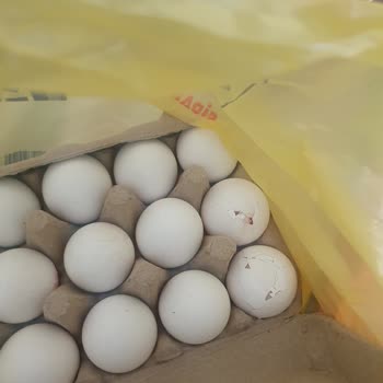Burhaniye Şok Marketler Eve Teslim Sorunu