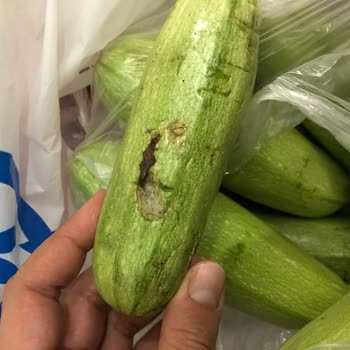 Carrefour SA Online Sipariş Çürük Ürünler
