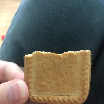 Torku Kıl-tüy-benzeri Bir Şey 😖😖😖😖