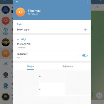 Finans Yatırım Ve Prof. Fibonacci Vurgunculuğu İle Kandırılan Ben.