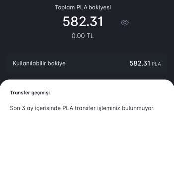 Paribu İşlem Yapma Kısıtlaması