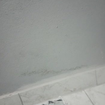 Marshall Boya Pişmanlığı 10 Üzerinden Sıfır