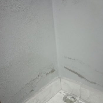 Marshall Boya Pişmanlığı 10 Üzerinden Sıfır