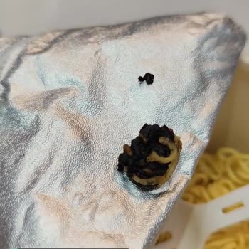 Berona Noodle'den Çıkan Cisim!
