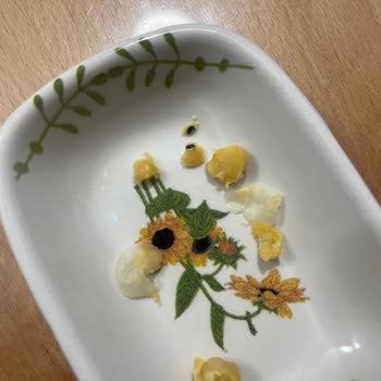 Yayla Bakliyat Yayla Koçbaşı Nohutta Böcek