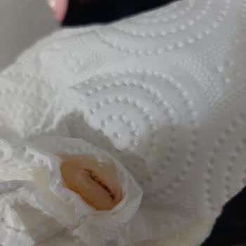 Dardanel Pesto Soslu Makarna Temizlenmemiş Karides