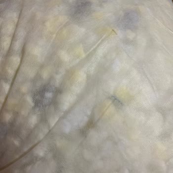 Doğtaş Toscana Kırlentler Kırpma Sünger Dolu