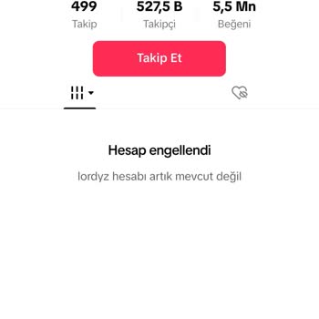 TikTok Hesabım Kapandı Lütfen Yardımcı Olun Teşekkürler