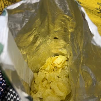 Lays Cipsinin İçin Deki Böcek Çıkması