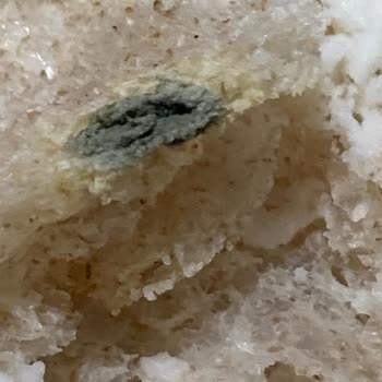 BİM Karadeniz Yöresel Ekmek Sağlığımızla Oynanıyor (BÖCEK-KÜF)