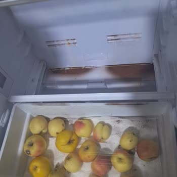 Arçelik 2181 Nfl Pas Sebebi İle Bozulma