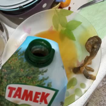 Tamek Meyve Suyundan Çıkan Barlanmış Tortu