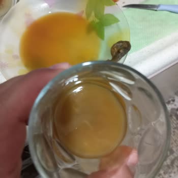 Tamek Meyve Suyundan Çıkan Barlanmış Tortu