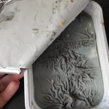 Pınar Et ve Süt Protein Peynirinde Küf Sorunu Ve Denetimlerin Yetersizliği