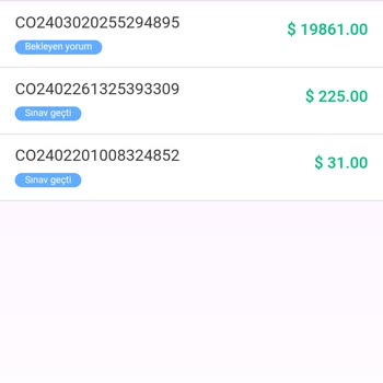 eBay Ne Yapmalıyım Yardımcı Olur Musunuz