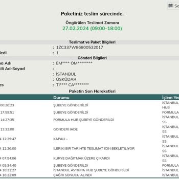 Pandora Ve UPS Türkiye Kargo Hk.