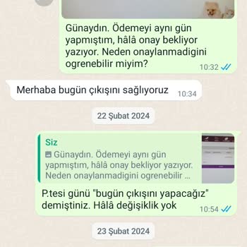 Petedor Gönderilmeyen Kedi Kumları