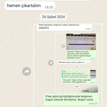 Petedor Gönderilmeyen Kedi Kumları