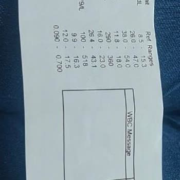 Antalya Altınkum Hayvan Hastanesi, Can Umursamayan Bir Ticarethane