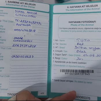 Antalya Altınkum Hayvan Hastanesi, Can Umursamayan Bir Ticarethane