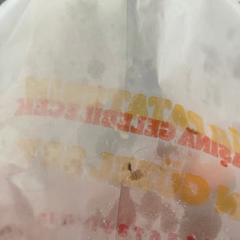 Burger King Hijyen Eksikliği Ve Müşteri Hizmetleri Sorunu
