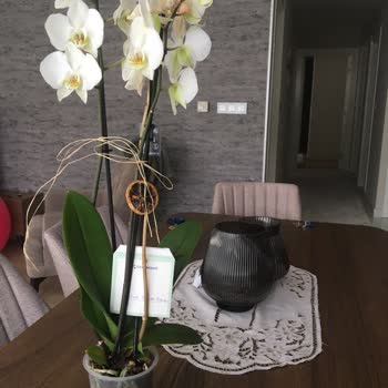 Yine Çiçek Sepeti Yine Mağduriyet