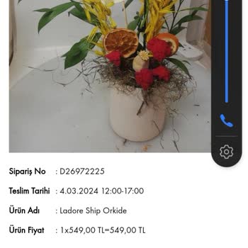 Taze Çiçek (tazecicek.com) Tazeçicek Mi Çürümüş Çiçek Mi