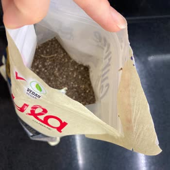 Yayla Bakliyat Yayla Chia Tohumu