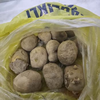 Şok Market Çürük Malları Satıyor