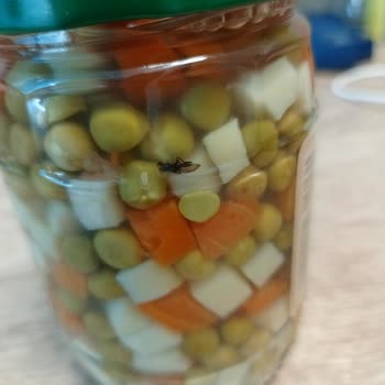 Tarım Kredi Kooperatif Market Türkiye Tarım Kredi Garnitürde Sinek