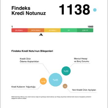 Findeks Kredi Puanı Sorunsalı