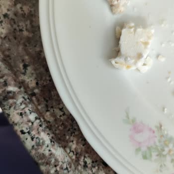 Bahçıvan Peynirde Plastik Tadı