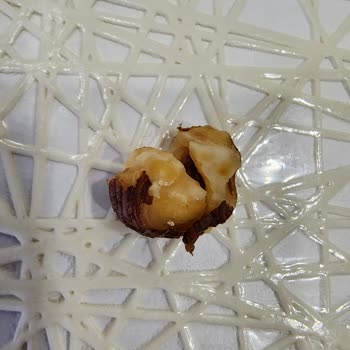 Humm Organic Humm Organik Kekin İçinden Çıkan Bütün Findik